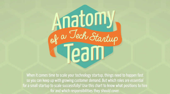 Anatomy of a Tech Startup Team – by Wrike project management tools